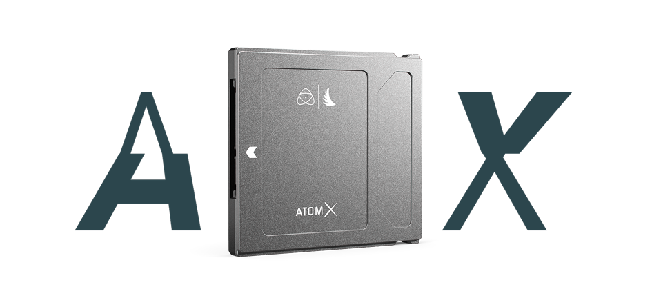 Angelbird AtomX SSDmini 1TB 通販