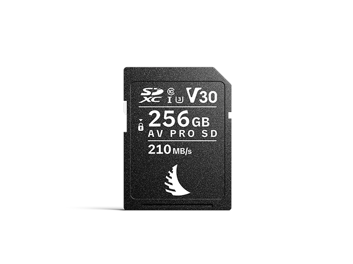 Product image AV PRO SD V30 256 GB