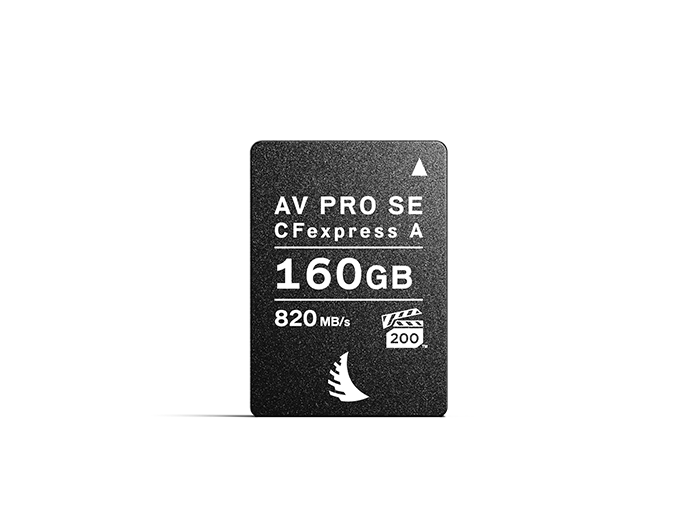 CFexpress Type A SE memory card with 160 GB capacity displayed on a neutral background.