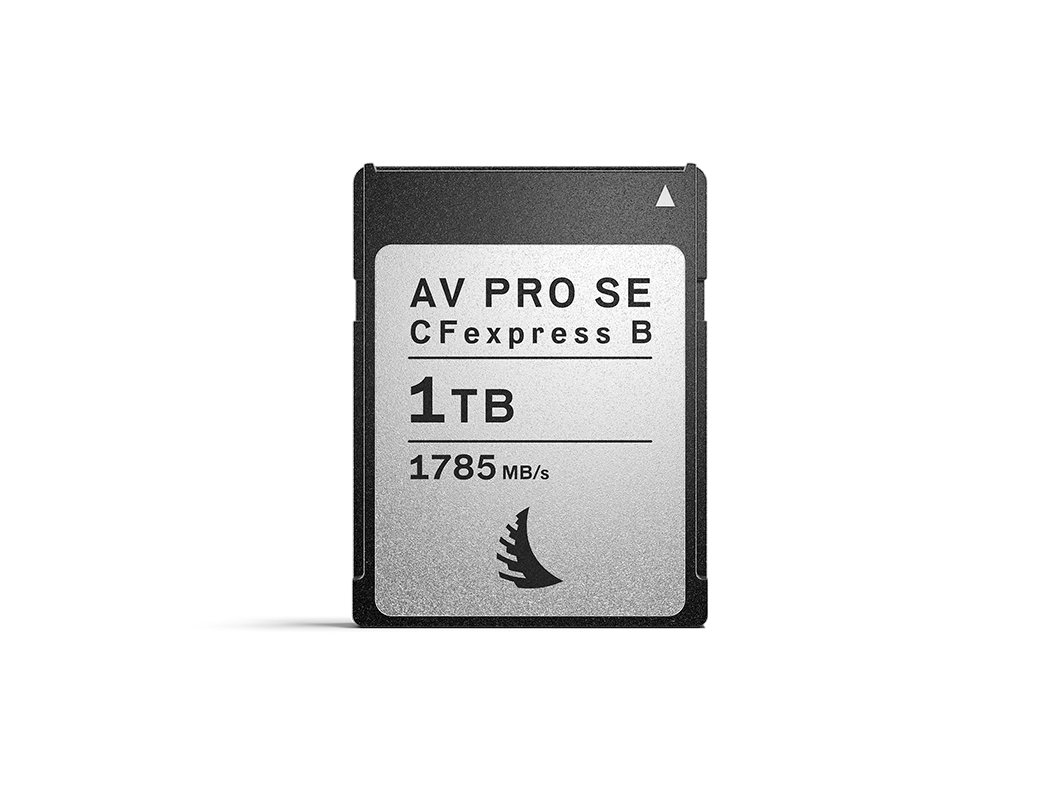 CFexpress Type B SE memory card with 1 TB capacity displayed without background.