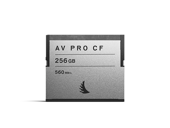 Product image AV PRO CF 256 GB