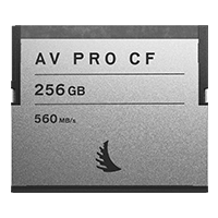 CFast 2.0 SE memory card with 256 GB capacity displayed on a neutral background.
