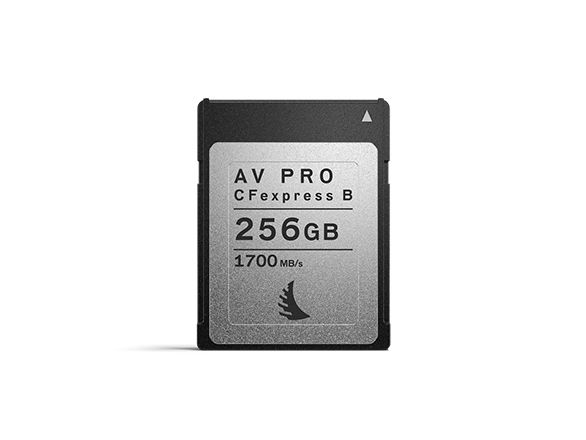 Product image AV PRO CFexpress 256 GB | 1 PACK