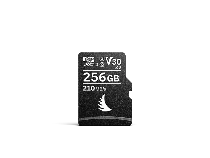 Product image AV PRO microSD V30 256 GB