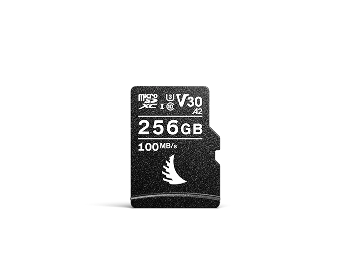 AV PRO microSD V30 memory card with 256 GB capacity displayed on a neutral background.