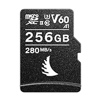 AV PRO microSD V60 memory card with 256 GB capacity displayed on a neutral background.