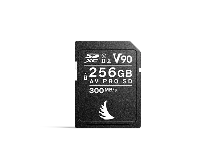 AV PRO SD V90 memory card with 256 GB capacity displayed on a neutral background.