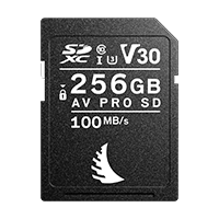 AV PRO SD V30 memory card with 256 GB capacity displayed on a neutral background.