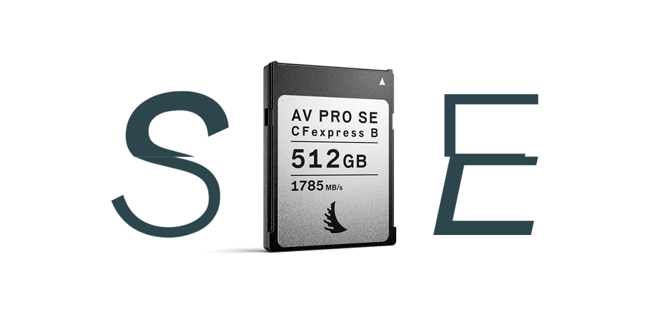 AV PRO CFexpress SE Type B 512 GB