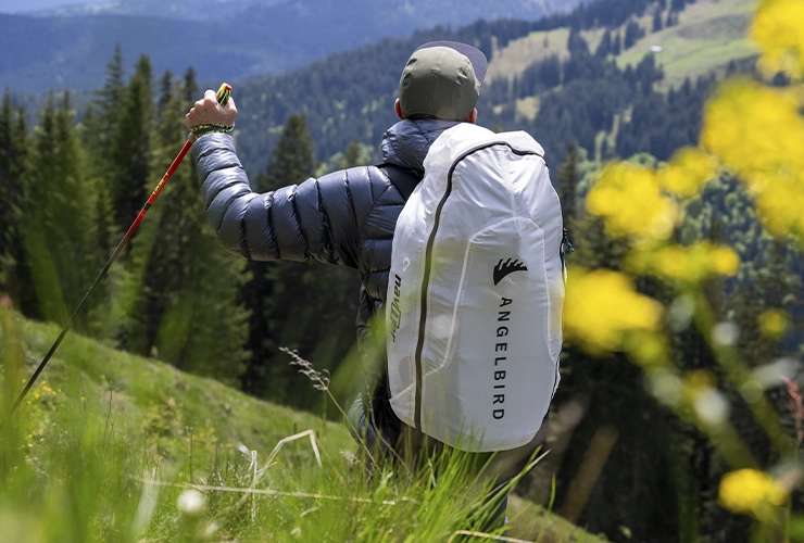 Collective_Adi-Geisegger_Content-Landscape_04