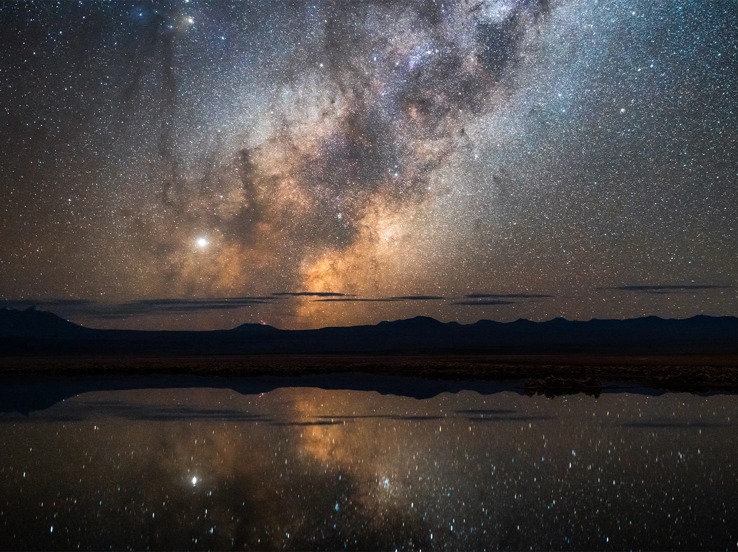 Collective_Martin-Heck_Banner_02