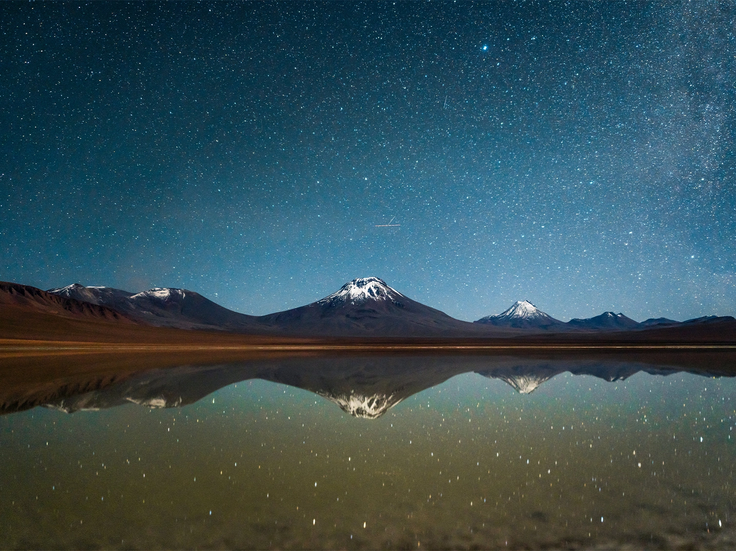 Collective_Martin-Heck_Banner_04