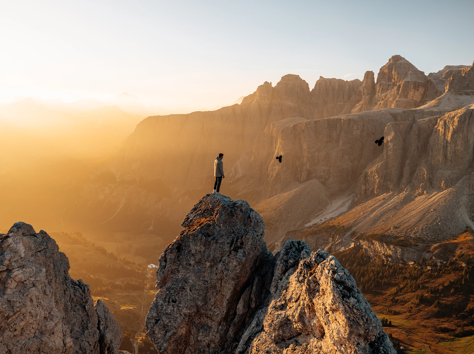 Collective_Sjoerd_Bracke_Banner_02