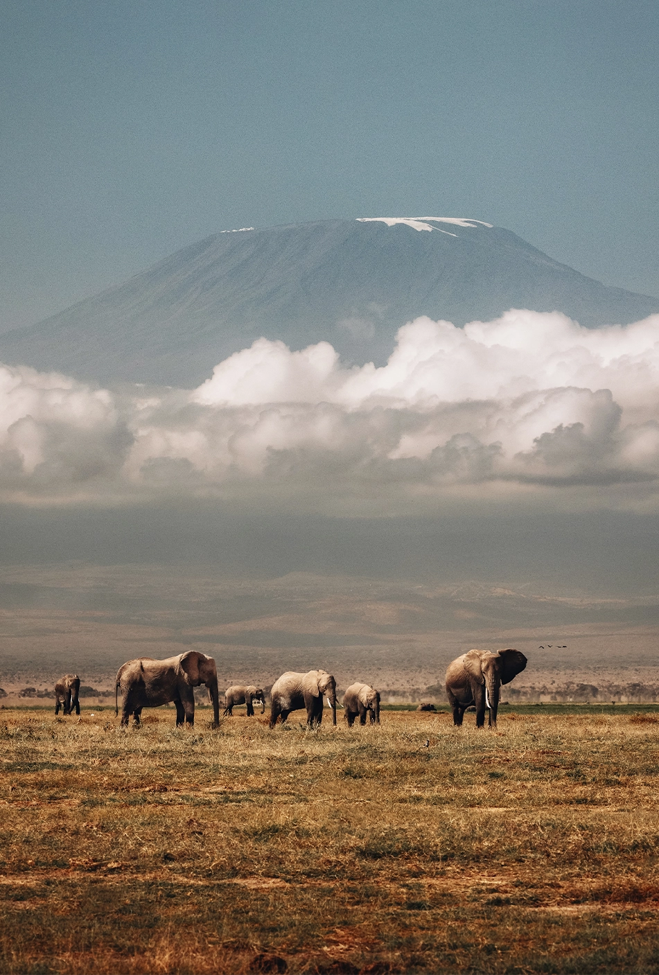 Collective_Sjoerd_Bracke_Content-Portrait_01