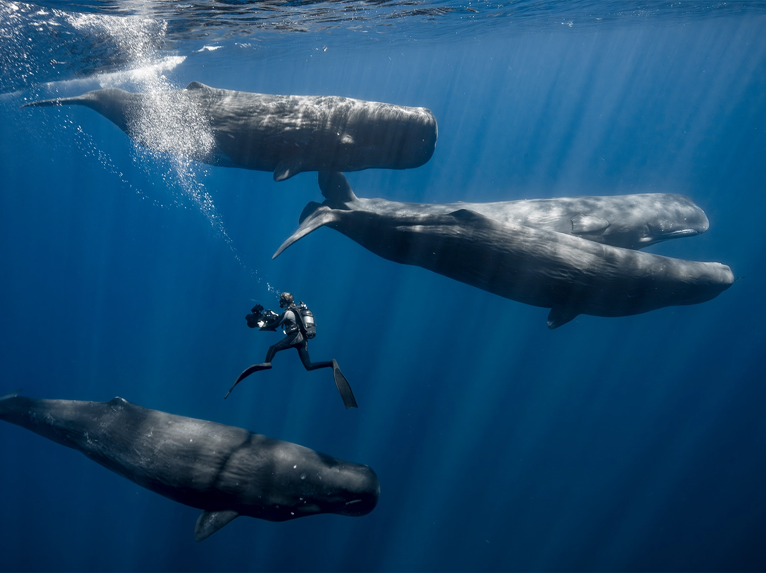 Collective_Stephane-Granzotto_Banner-03