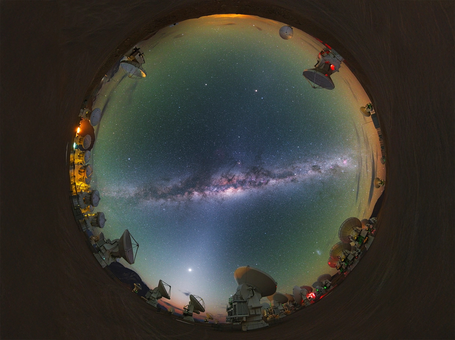 Collective_Yuri-Beletsky_Banner_04