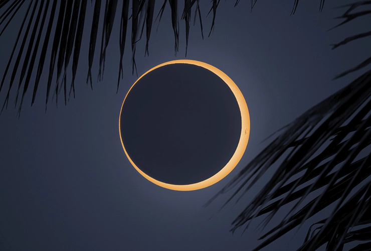 Collective_Yuri-Beletsky_Content-landscape_02