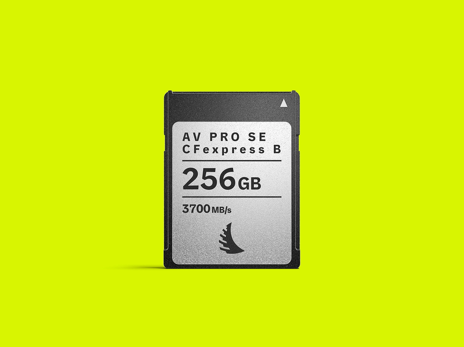 Discover_AV256CFXBSE_Banner_01