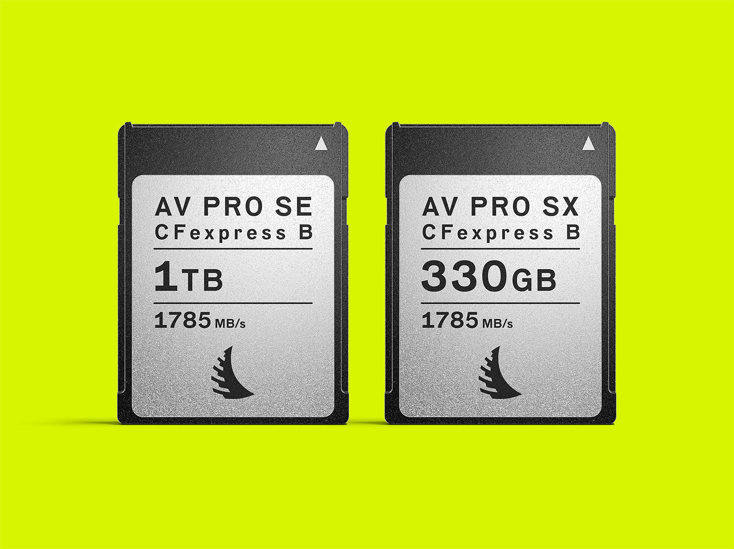 CFexpress B SE 1 TB memory card and CFexpress B SX 330 GB memory card on a front view displayed on a yellow background