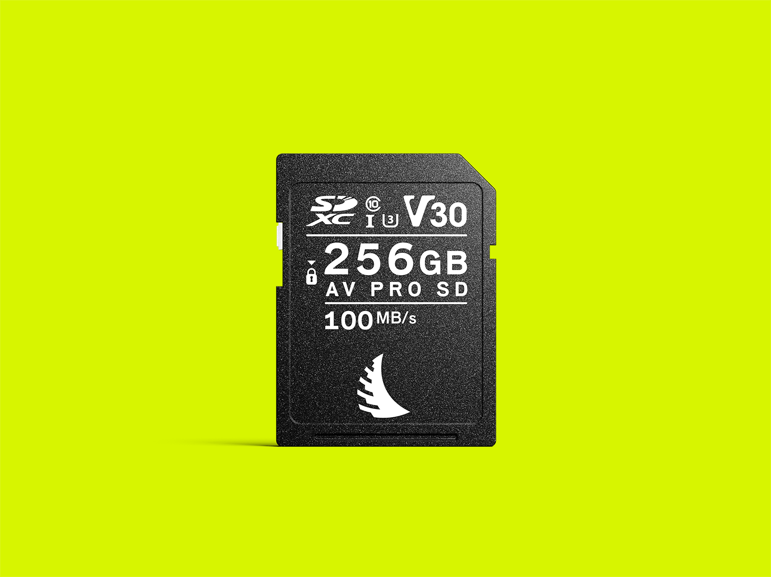 AV PRO SD V30 256 GB memory card displayed on a yellow background