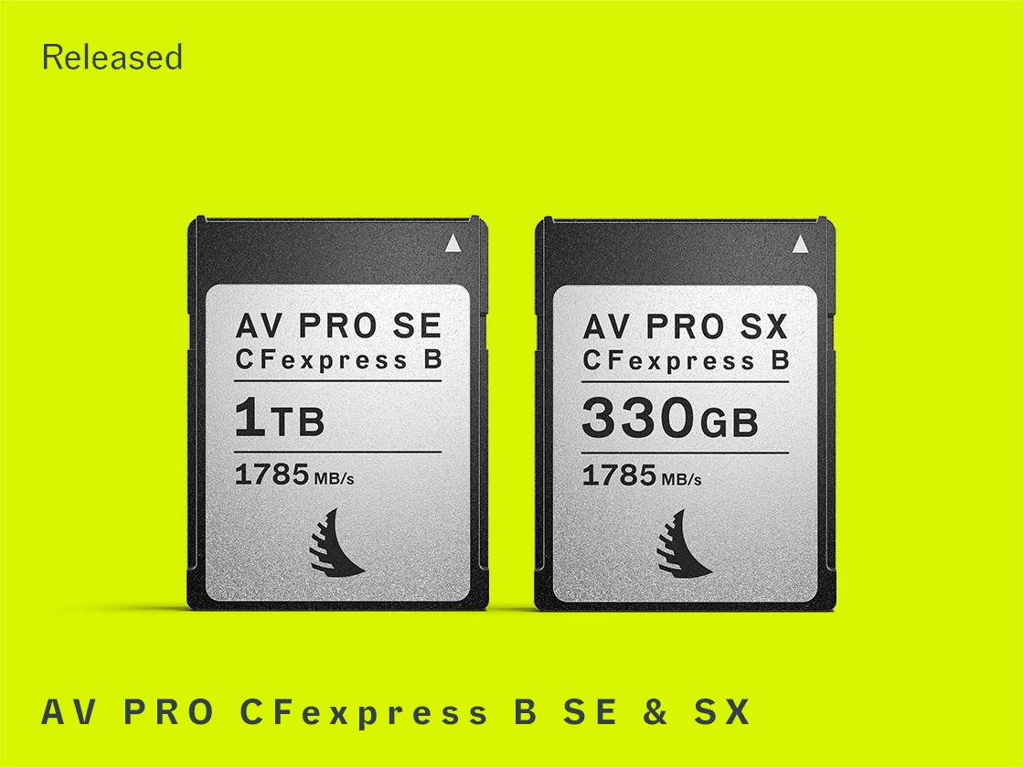 CFexpress B SE 1 TB memory card and CFexpress B SX 330 GB memory card on a front view displayed on a yellow background