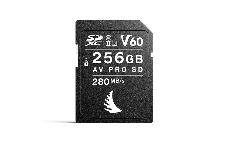 gallery-img-AVPRO256SDMK2V60-lg.jpg?v=3v99jNQFfS