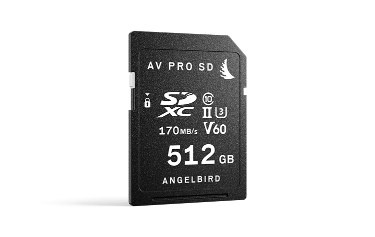 gallery-img-AVPRO512SDV60-lg.jpg?v=2Gn3WHh3eX