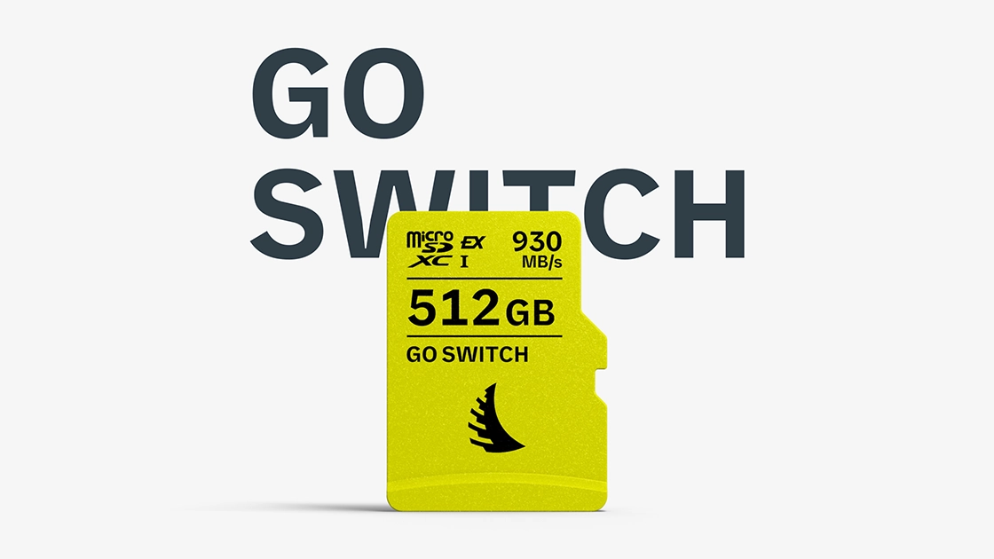 GO SWITCH microSD Express | Angelbird