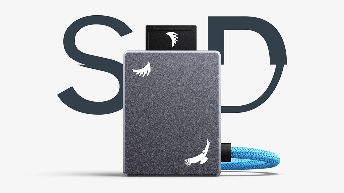 GDR⭐︎ SDV3-029 Recording Module SD | Angelbird