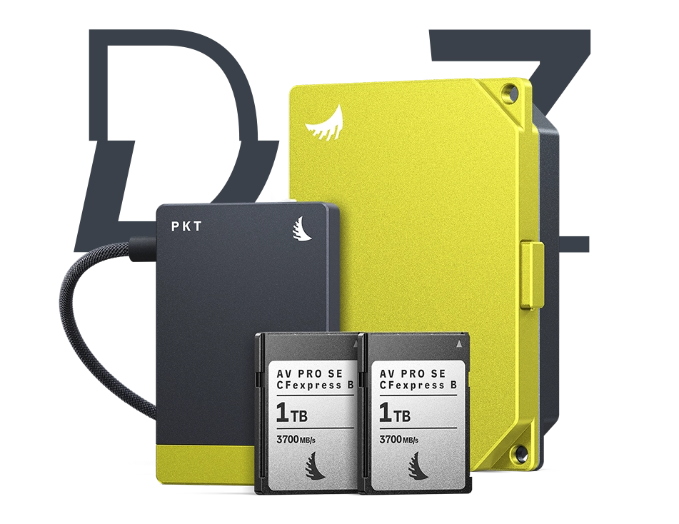 LP-Carousel_ProCreator