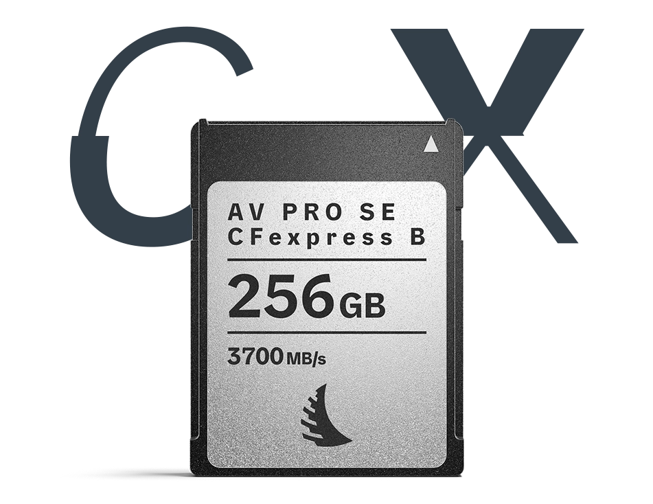 LP_Carousel_CFexpressBv4256GB