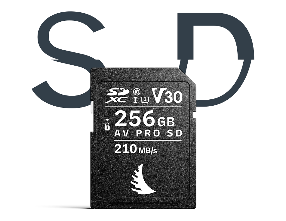 LP_Carousel_SDV30MK2