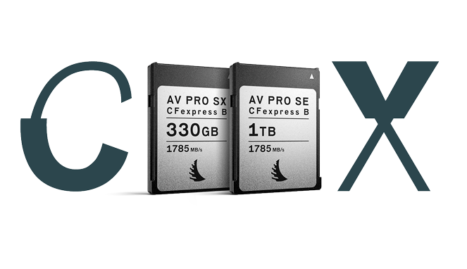 SSD 500Go AVP500XT 2.5 Angelbird