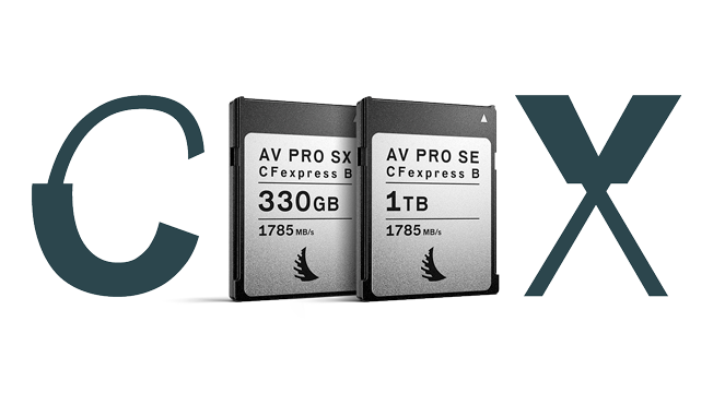 Angelbird AV Pro V60 microSDXC au meilleur prix sur