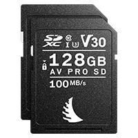 Product image Match Pack™ for Fujifilm 2x SD V30