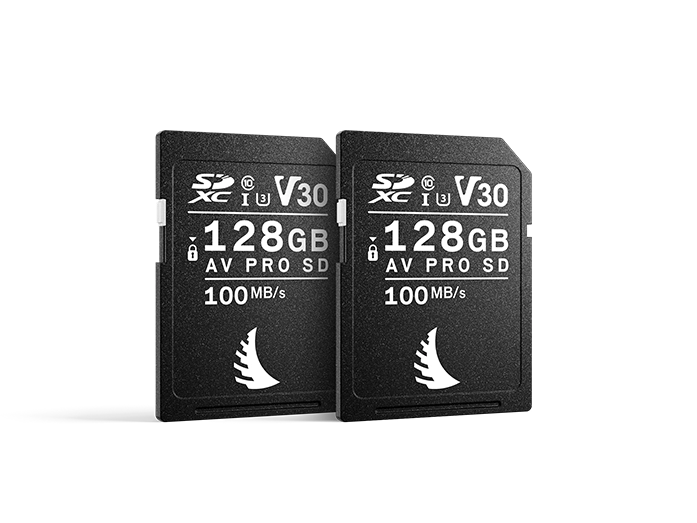 Product image Match Pack™ for Canon 2x SD V30 128 GB