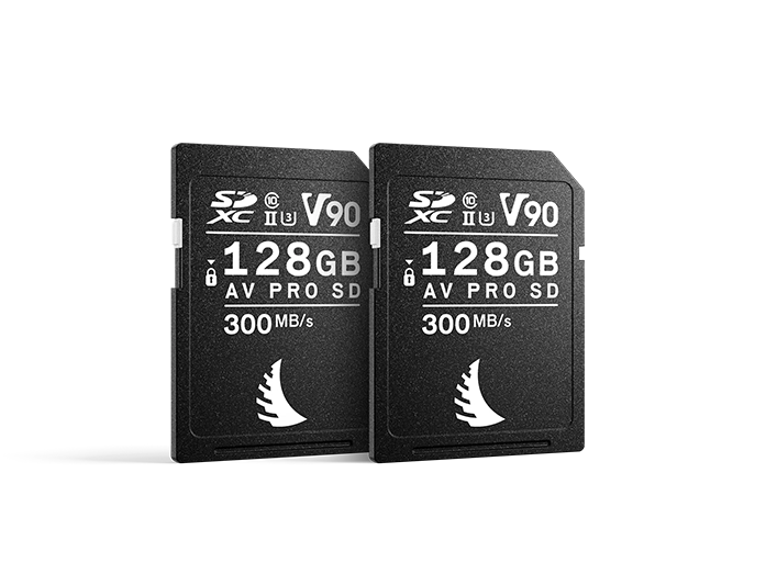 Product image Match Pack™ for Canon 2x SD V90 128 GB