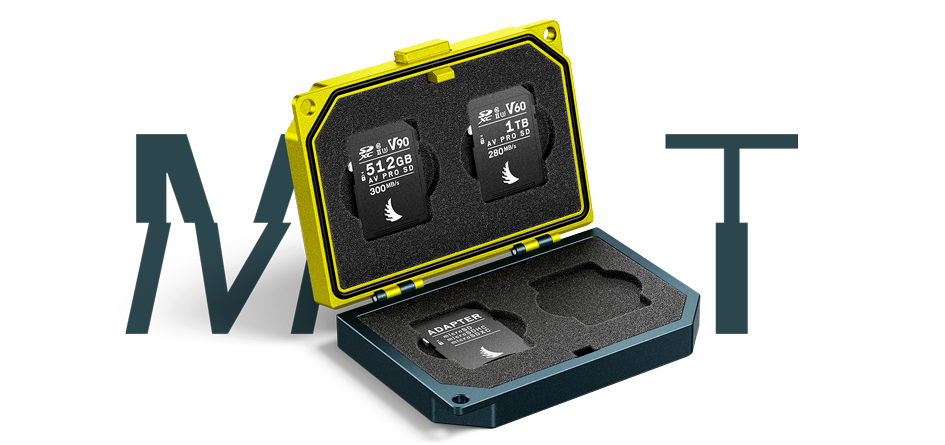 Sd card discount case