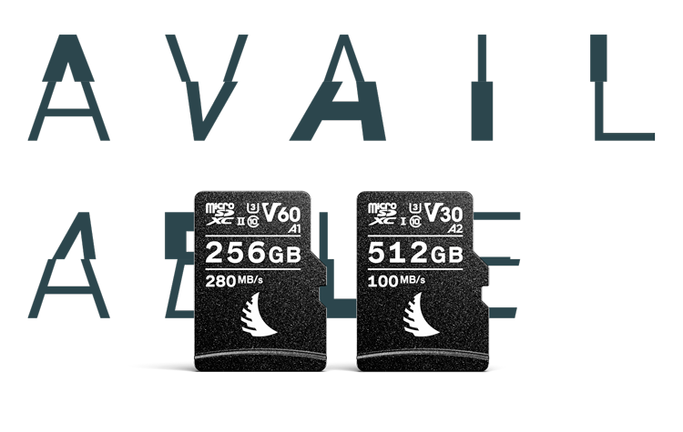 https://www.angelbird.com/media/image/news-header_choose-the-best-microsd/20230227_Choose-the-best-microSD_News-Header_LG.png?v=4jcghumI46