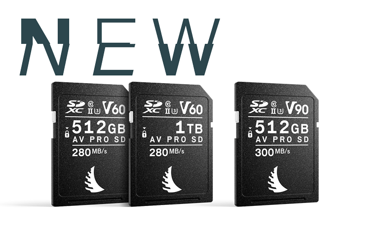 Now Available: 512 GB and 1 TB SDXC UHS-II Memory Cards